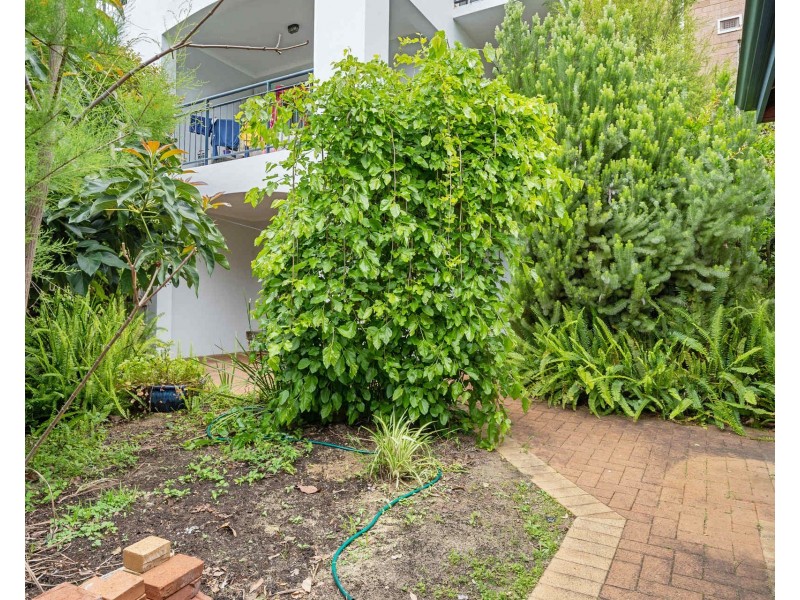 3/5 Doherty Road, Coolbellup WA 6163