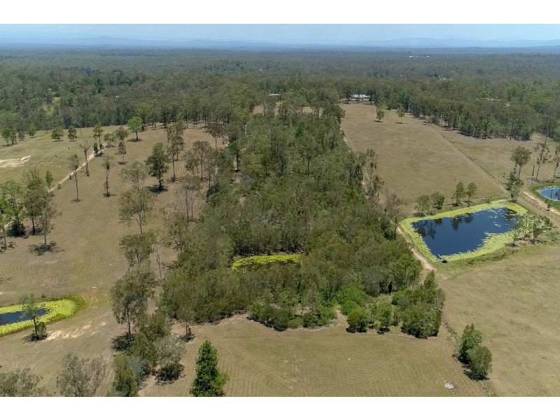 295 Andrew Road, Greenbank QLD 4124