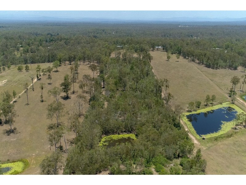 295 Andrew Road, Greenbank QLD 4124