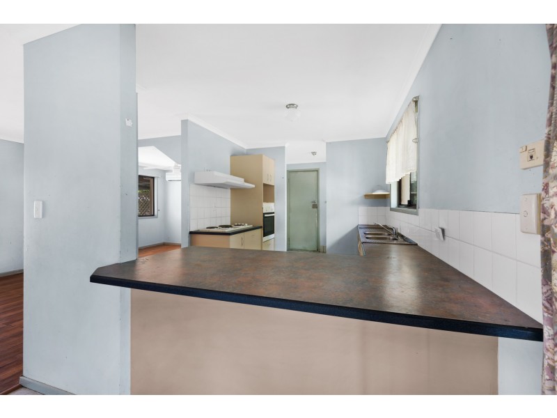 1 Celosia Street, Daisy Hill QLD 4127