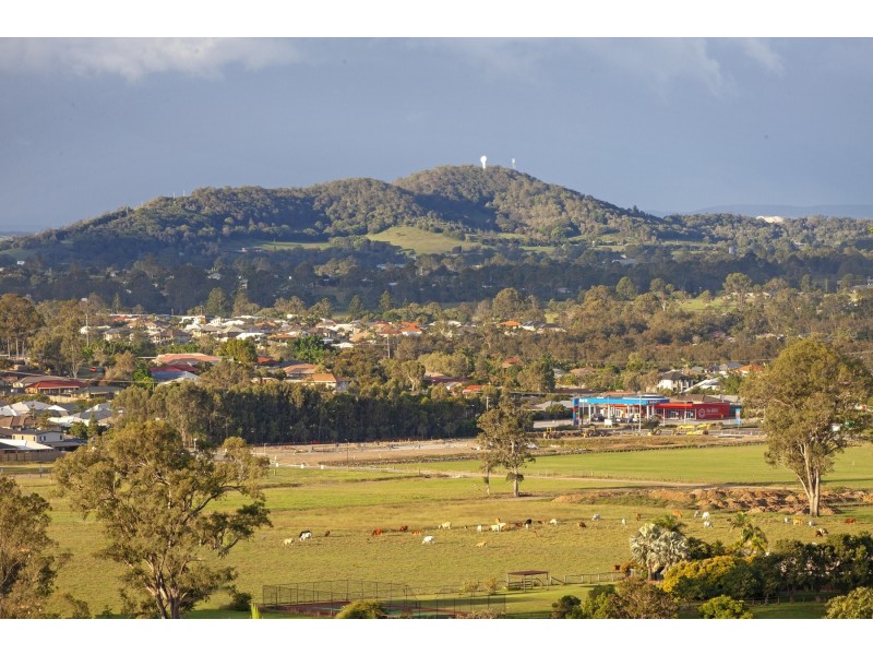 20 Brosnahan Court, Belivah QLD 4207