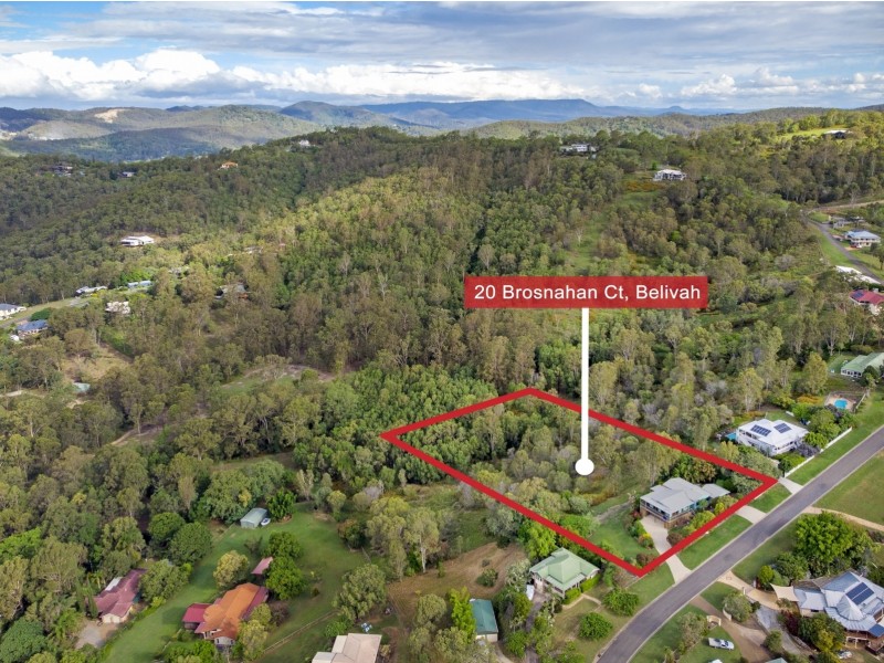 20 Brosnahan Court, Belivah QLD 4207