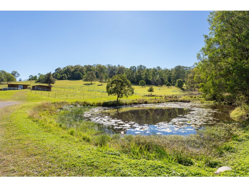 216 Rosemount Drive, Willow Vale QLD 4209