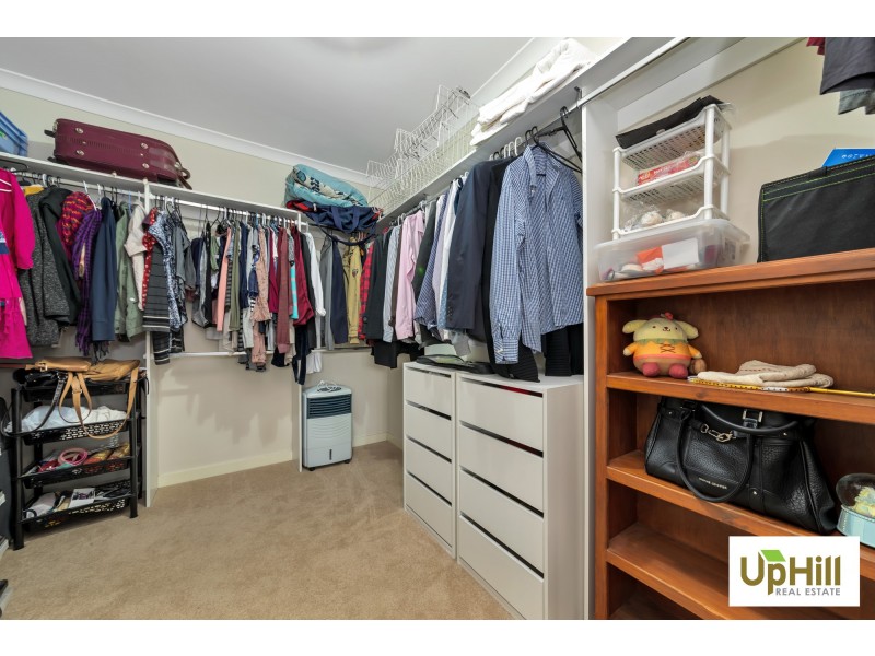 37 PALOMINO AVENUE, Clyde North VIC 3978