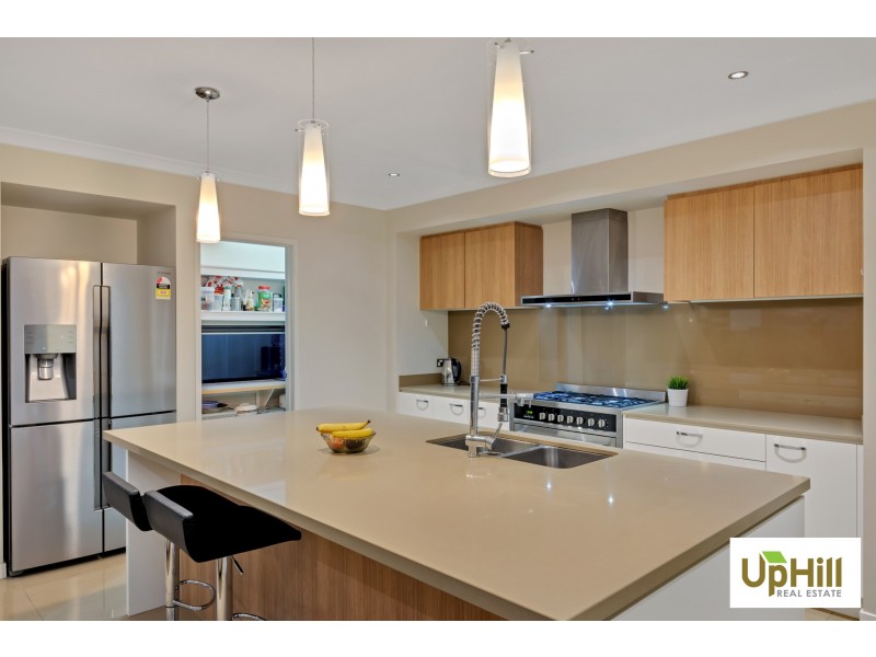 37 PALOMINO AVENUE, Clyde North VIC 3978