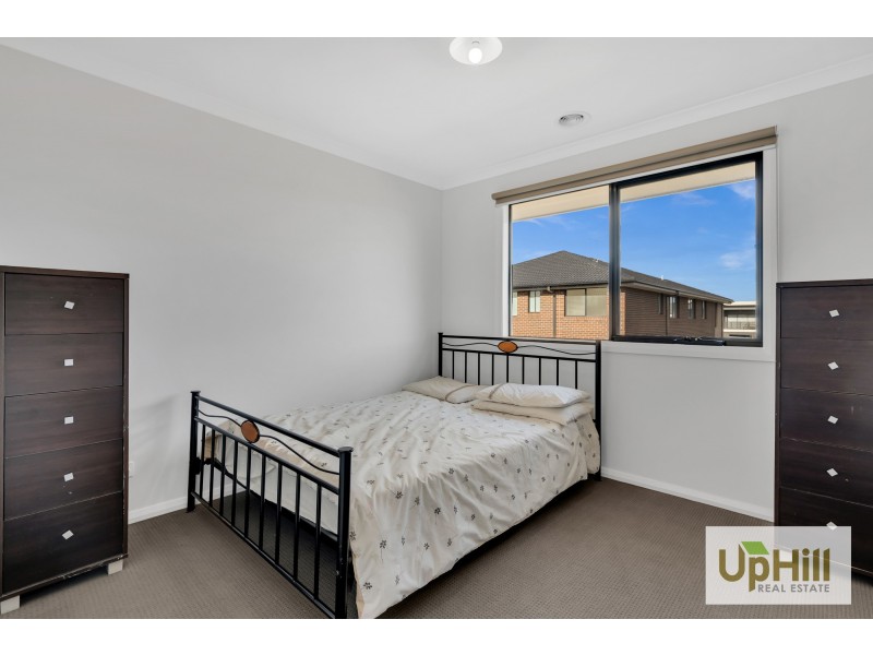 16 PITFIELD AVENUE, Cranbourne East VIC 3977