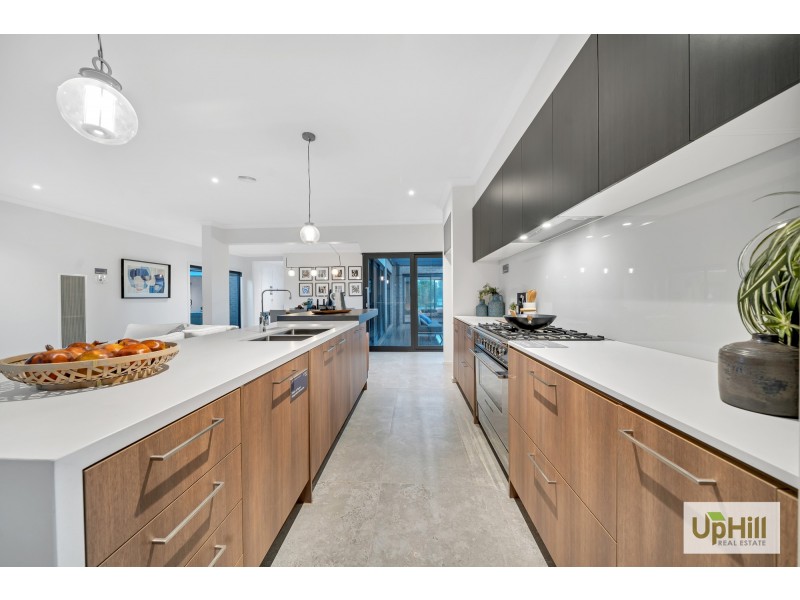 1 TALLRUSH STREET, Clyde North VIC 3978