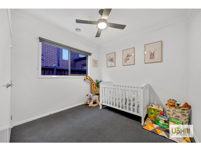 29 Littleshore Crescent, Clyde North VIC 3978