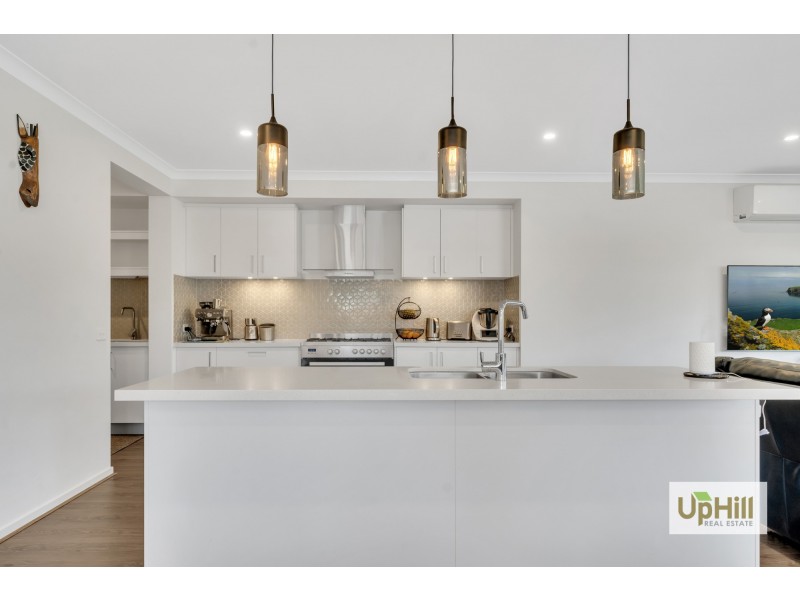 7 Chicory Chase, Narre Warren VIC 3805