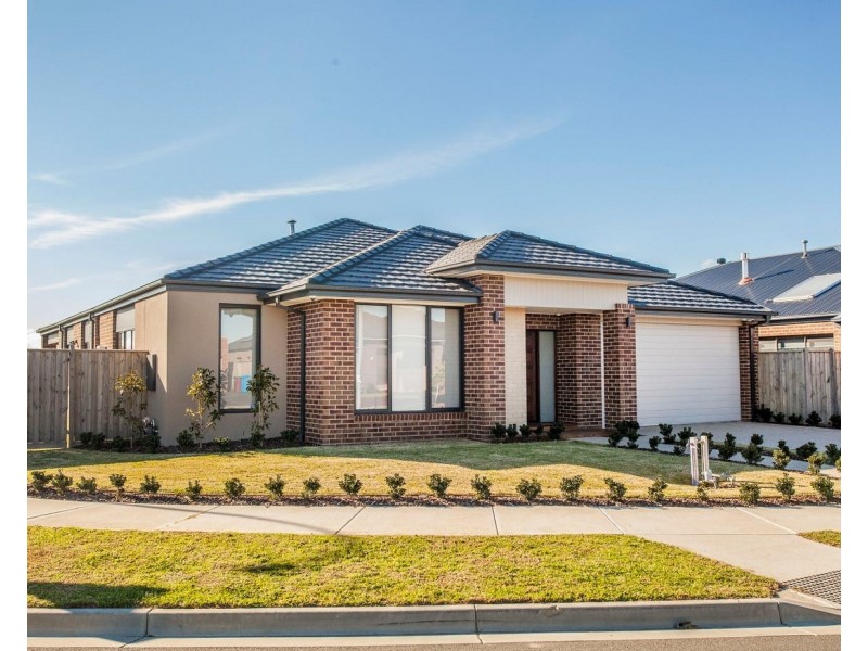 43 Cottongrass Avenue, Clyde North VIC 3978