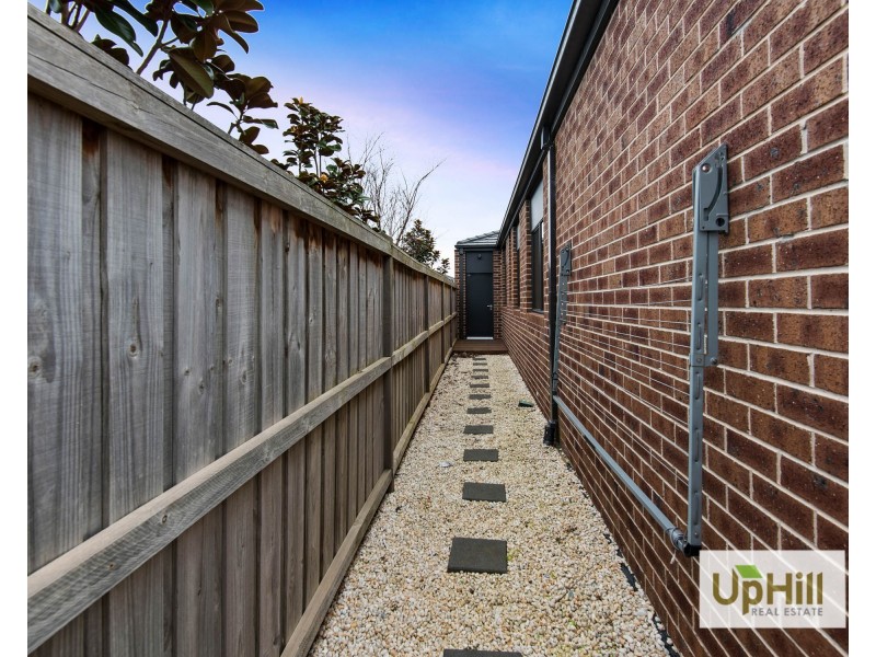 43 Cottongrass Avenue, Clyde North VIC 3978