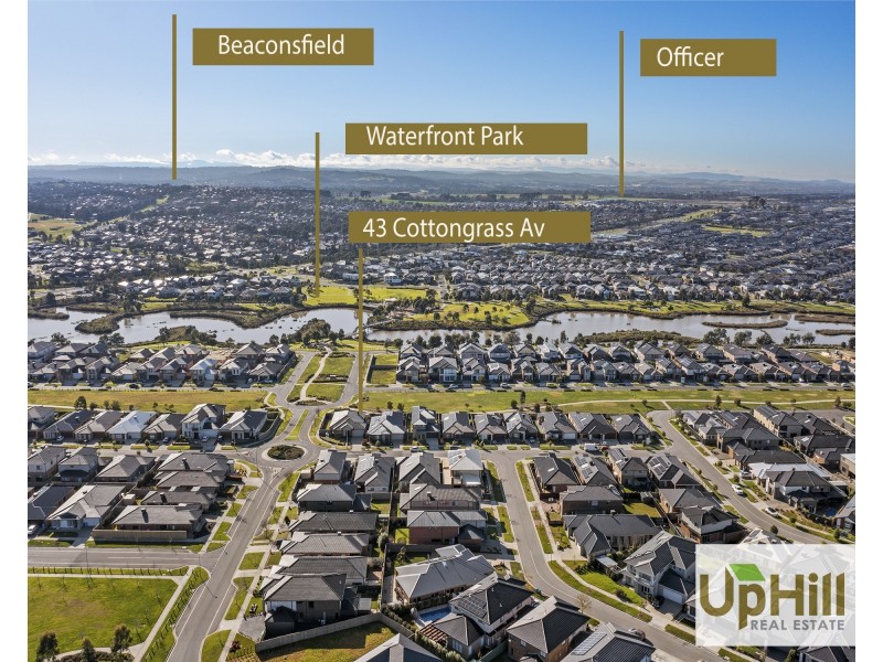 43 Cottongrass Avenue, Clyde North VIC 3978