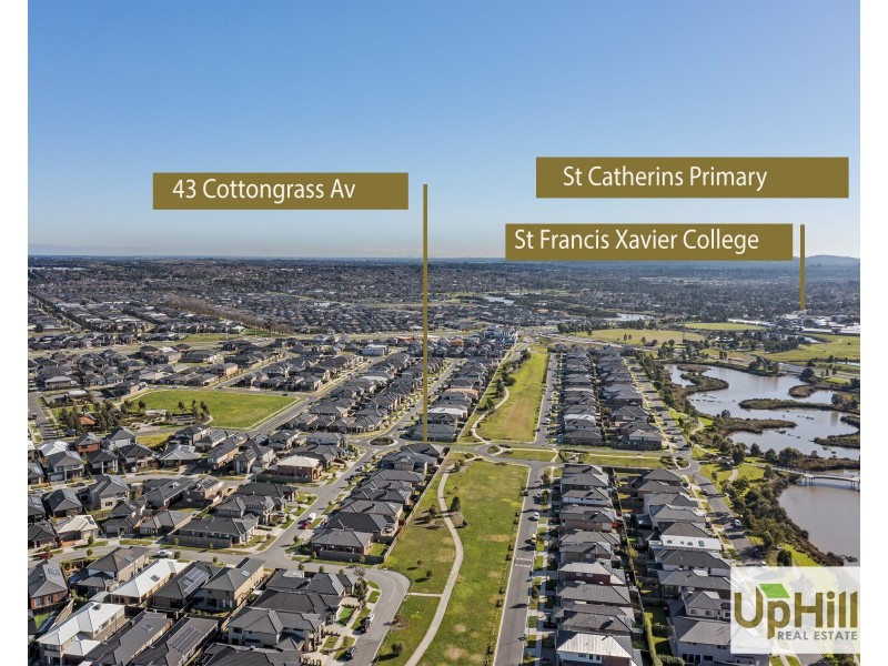 43 Cottongrass Avenue, Clyde North VIC 3978