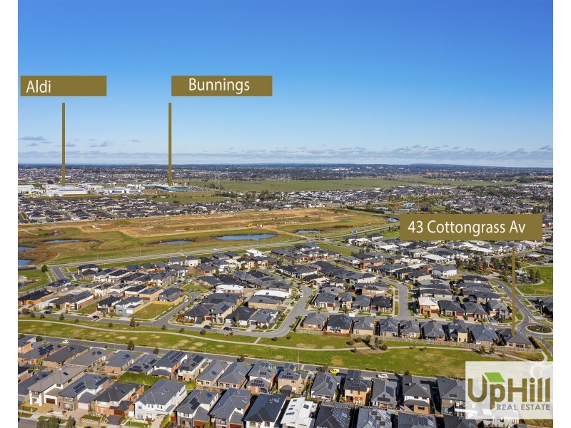 43 Cottongrass Avenue, Clyde North VIC 3978