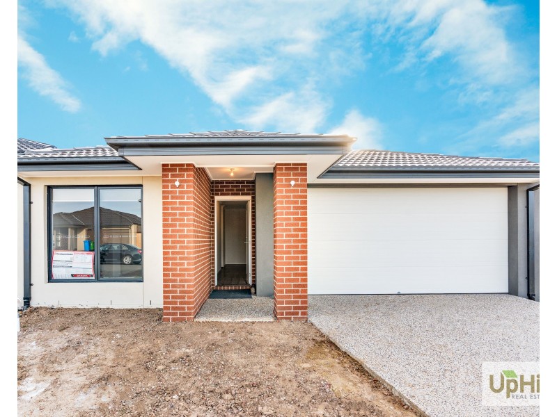 12 CURZON STREET, Clyde North VIC 3978