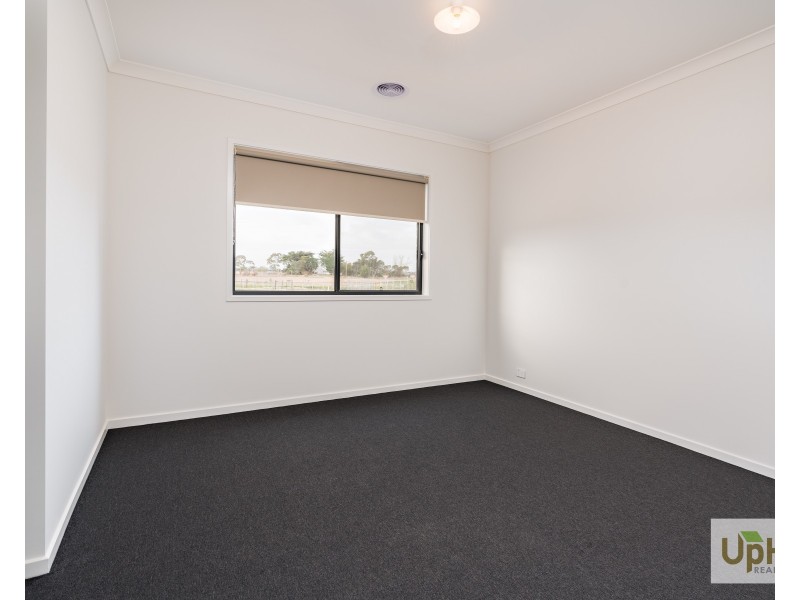 12 CURZON STREET, Clyde North VIC 3978