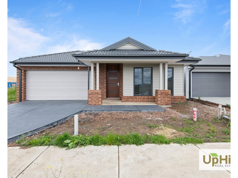 16 Shoveler Street, Clyde North VIC 3978