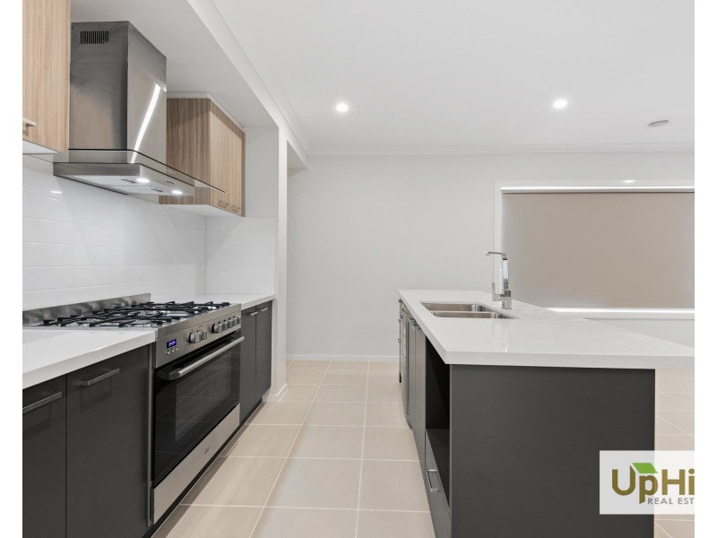 16 Shoveler Street, Clyde North VIC 3978