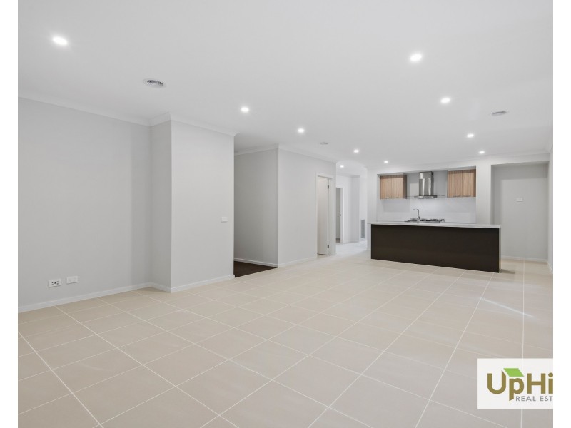 16 Shoveler Street, Clyde North VIC 3978