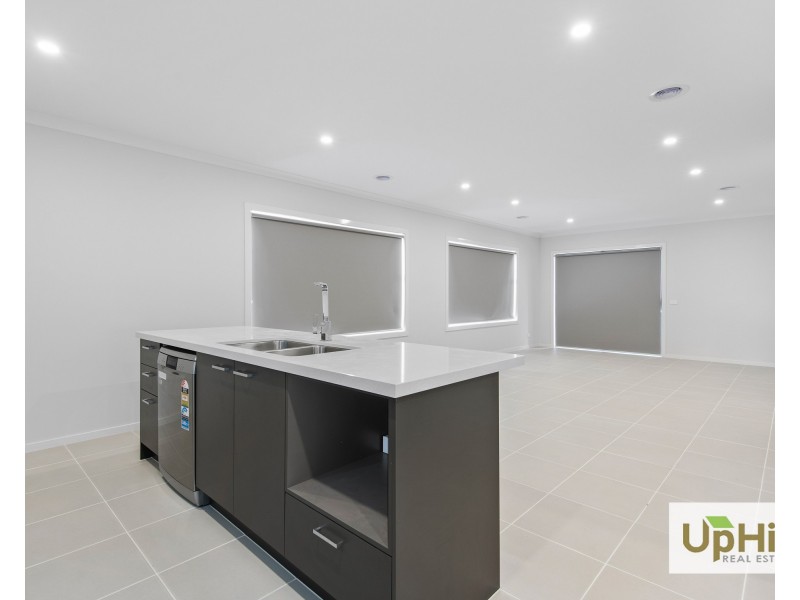 16 Shoveler Street, Clyde North VIC 3978