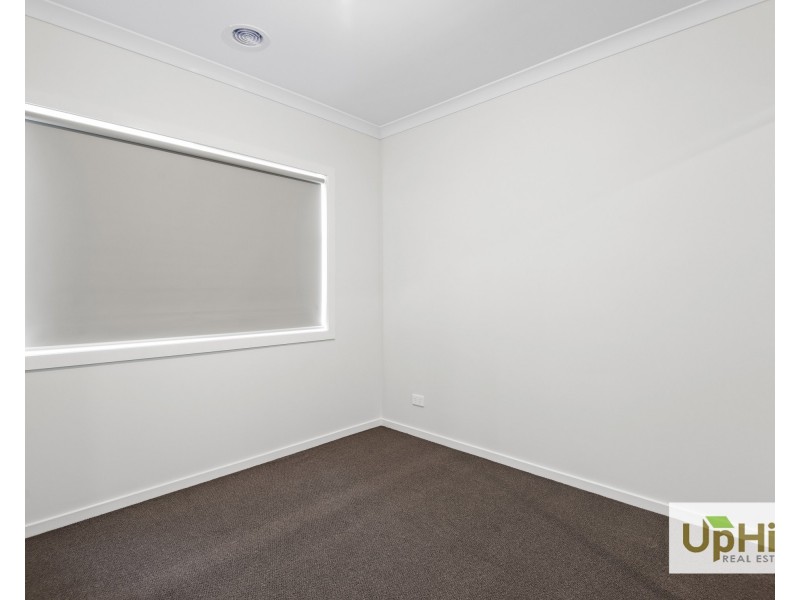 16 Shoveler Street, Clyde North VIC 3978