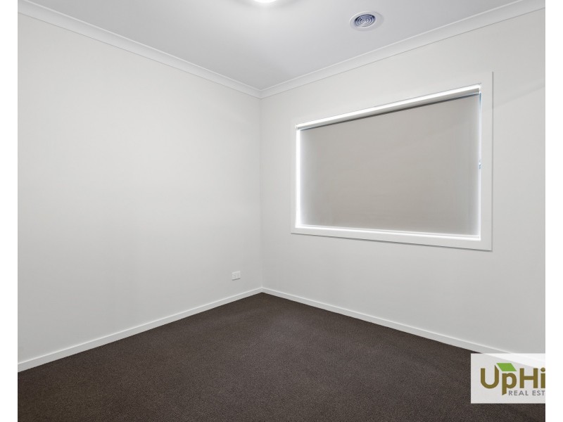 16 Shoveler Street, Clyde North VIC 3978