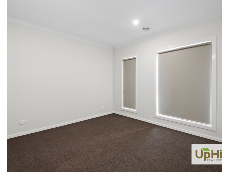 16 Shoveler Street, Clyde North VIC 3978