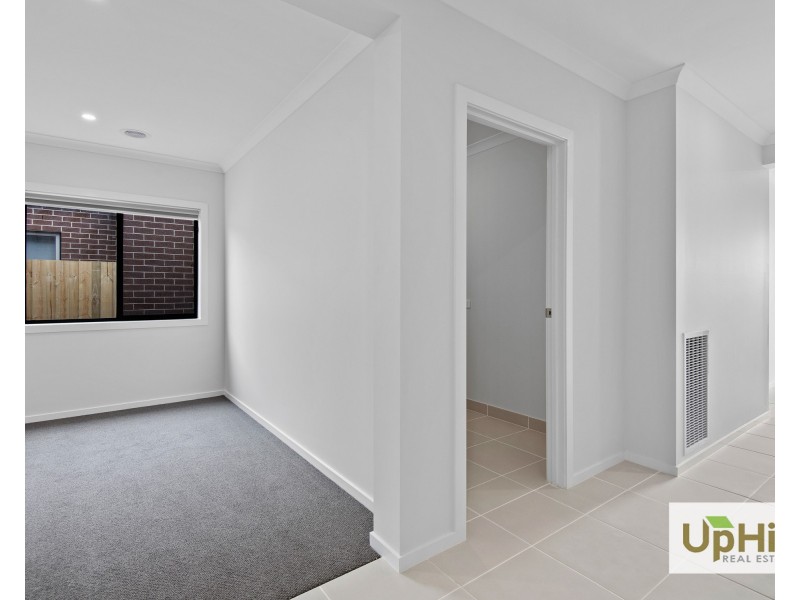 16 Shoveler Street, Clyde North VIC 3978