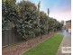 129 Everlasting Boulevard, Cranbourne West VIC 3977