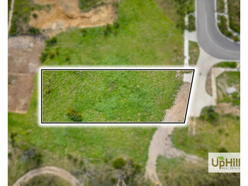 41 Blessing Rise, Pakenham VIC 3810