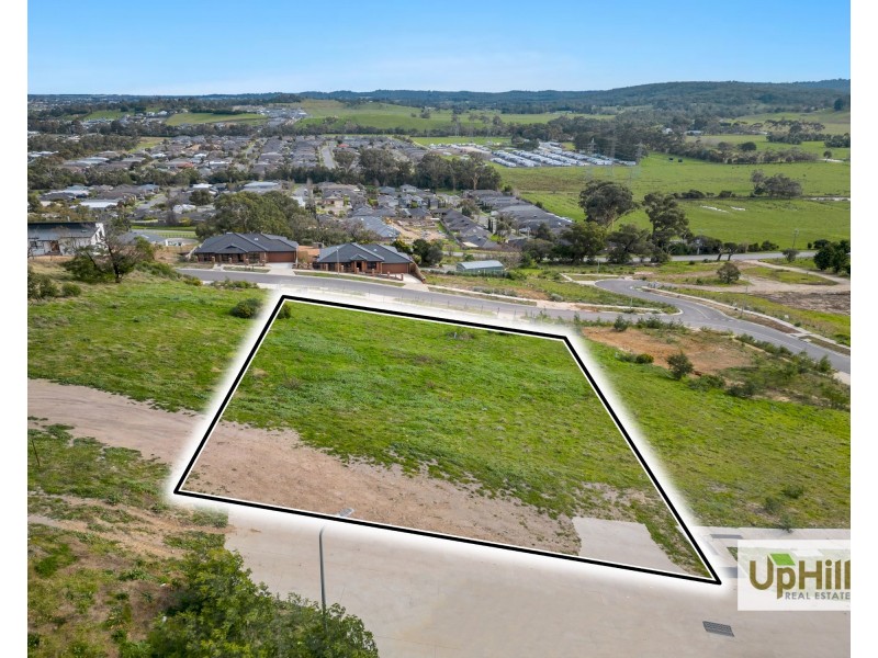 41 Blessing Rise, Pakenham VIC 3810