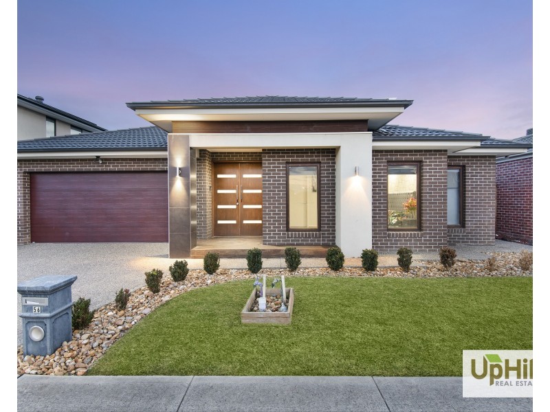 56 Glenrose Boulevard, Clyde North VIC 3978