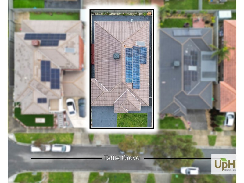 16 Tattle Grove, Cranbourne East VIC 3977