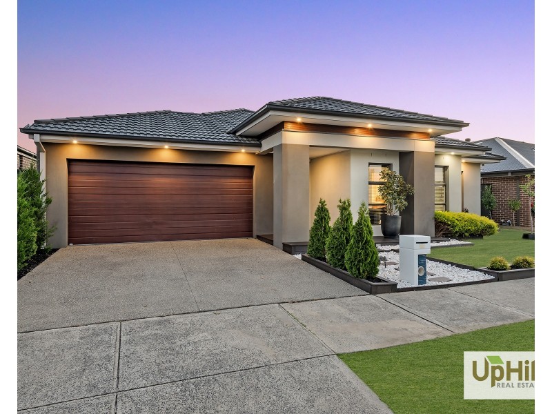 36 Glenrose Boulevard, Clyde North VIC 3978