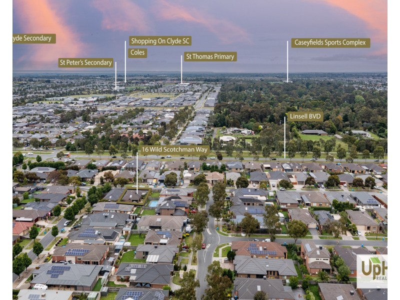 16 Wild Scotchman Way, Cranbourne East VIC 3977