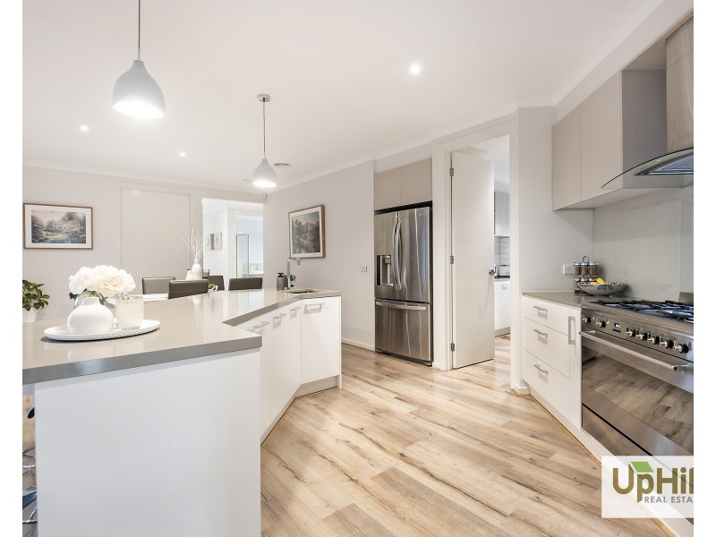 45 Cottongrass Avenue, Clyde North VIC 3978