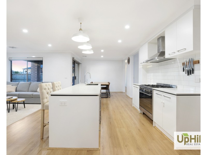 3 Snipe Street, Clyde North VIC 3978