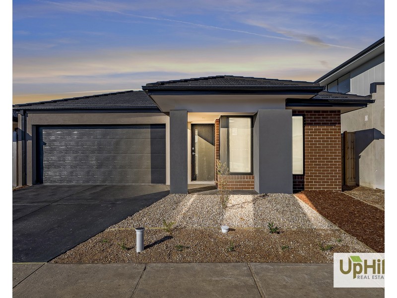 19 Nandewar Street, Clyde North VIC 3978
