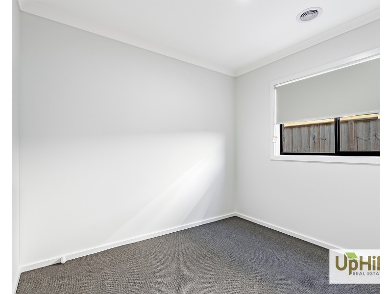 19 Nandewar Street, Clyde North VIC 3978