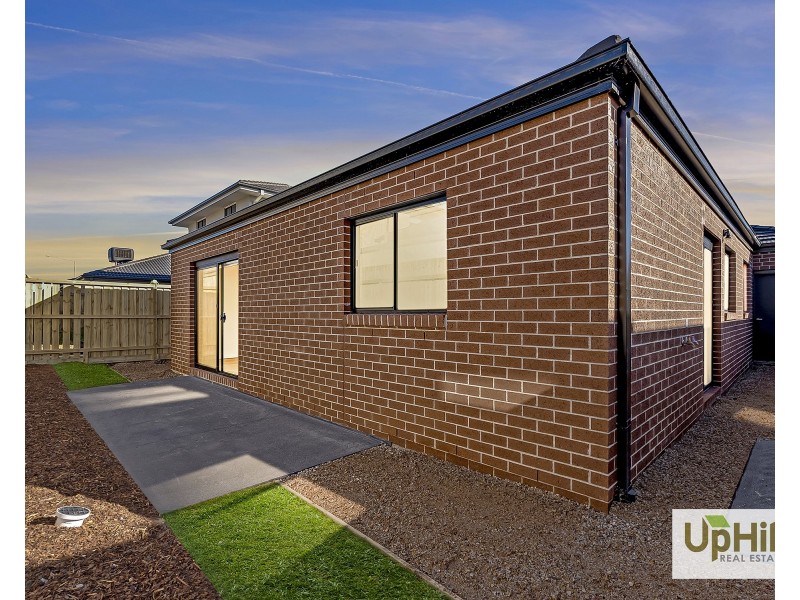 19 Nandewar Street, Clyde North VIC 3978