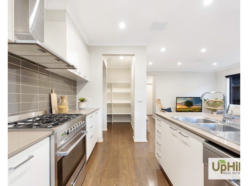 16 Lilydale Avenue, Clyde North VIC 3978