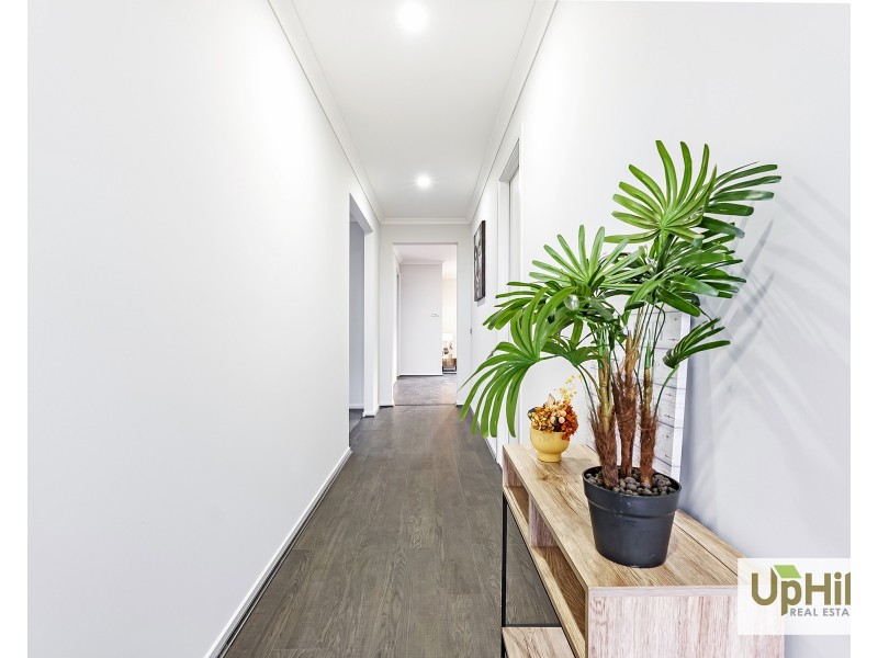 29 Tesaluke Avenue, Clyde North VIC 3978