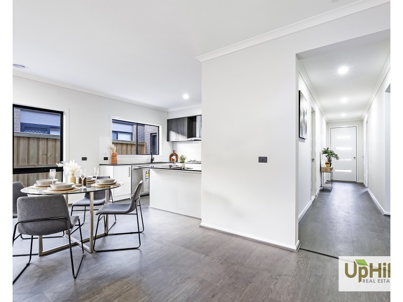 29 Tesaluke Avenue, Clyde North VIC 3978