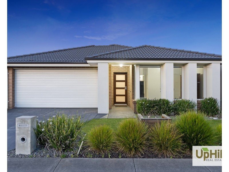 11 Guernsey Street, Clyde North VIC 3978