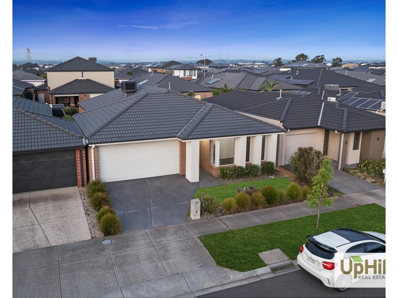 11 Guernsey Street, Clyde North VIC 3978