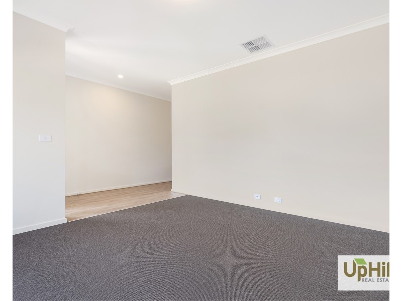49 Taupe Circuit, Clyde North VIC 3978
