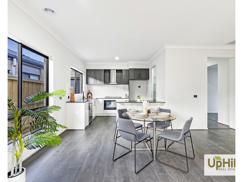 29 Tesaluke Avenue, Clyde North VIC 3978