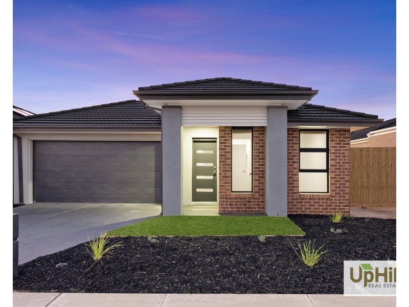 15 Basilico Street, Clyde VIC 3978
