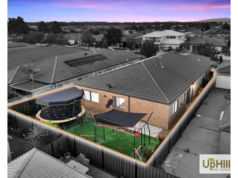 5 Haflinger Avenue, Clyde North VIC 3978