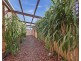 18 PROVENCE GROVE, Hoppers Crossing VIC 3029